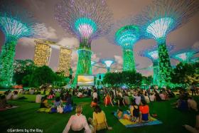 Có gì đẹp ở Gardens by the Bay – Quyến rũ du khách đến vậy?