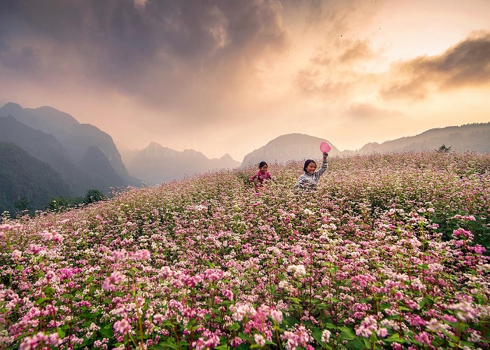 Khởi hành từ Hà Nội