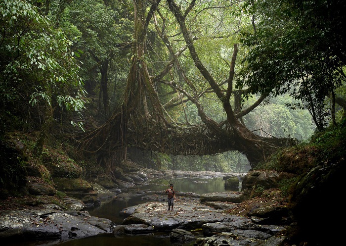 tour-du-lịch-Ấn-Độ